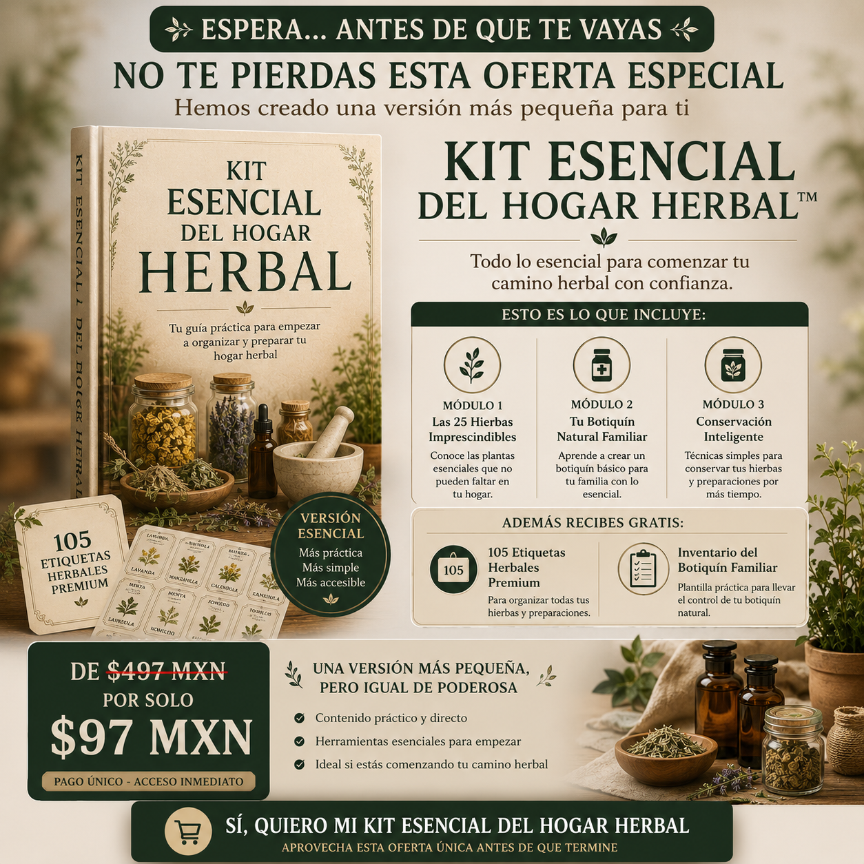 Kit Essencial Del Hogar