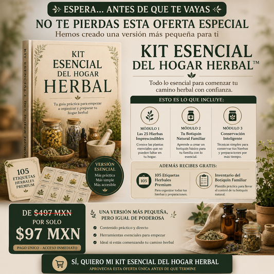 Kit Essencial Del Hogar